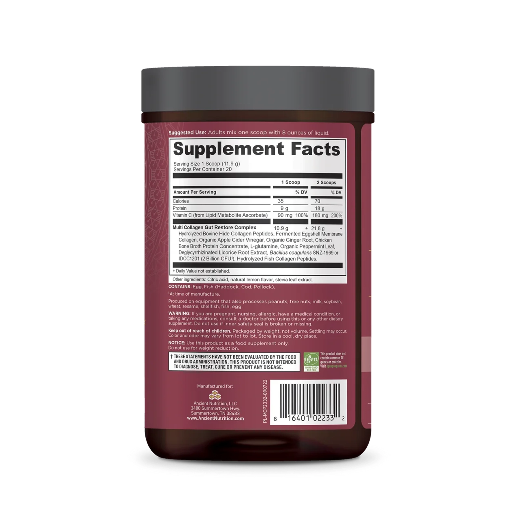 Ancient Nutrition Multi Collagen Protein Gut Restore – Digestive Health & Wellness - Image 2