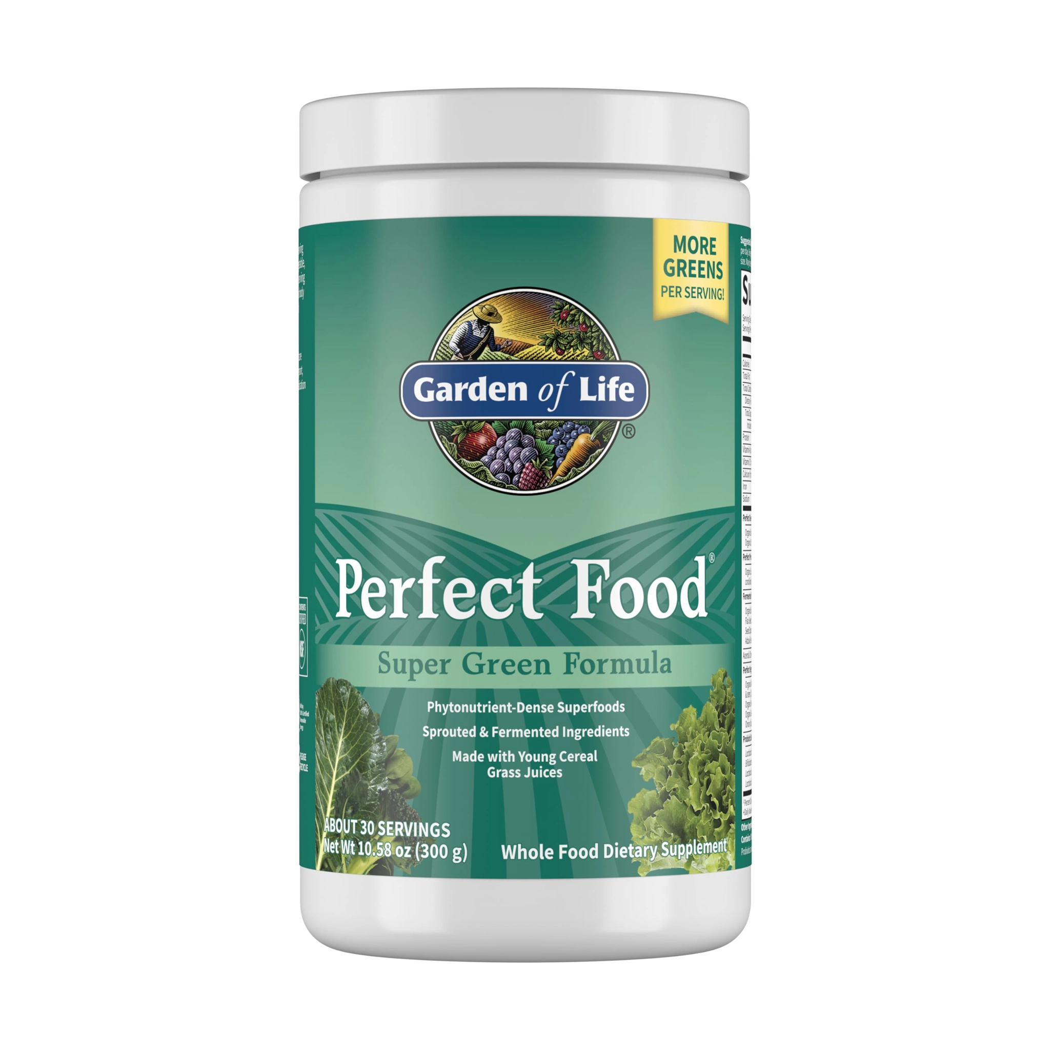 Garden of Life Perfect Food Super Green Formula - 30 Servings
