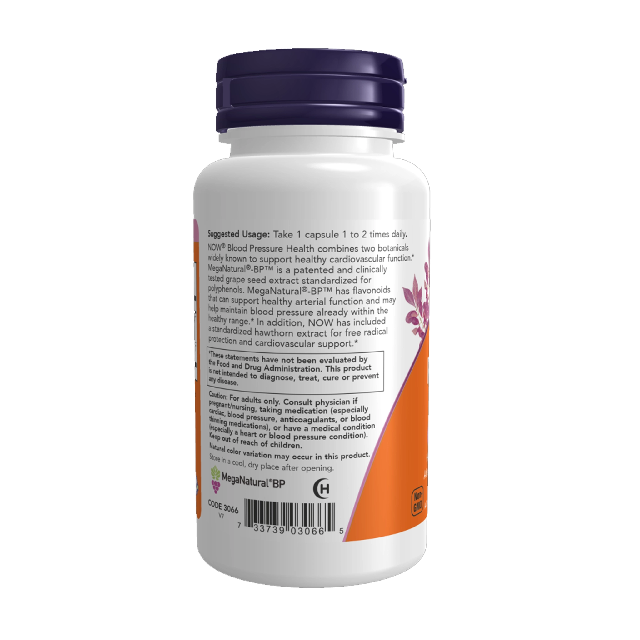 Blood Pressure Health Veg Capsules - Image 3