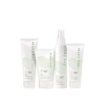 Mary Kay Botanical Effects Skin Care Set