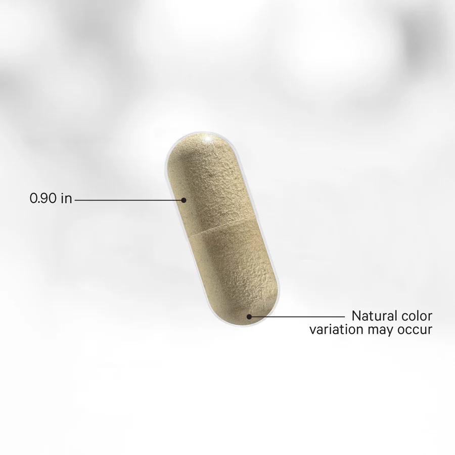 Multi Collagen Beauty Night - Image 3