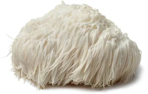 lions mane f90bd898 8201 493a bcc5 9c1cb0cb467f