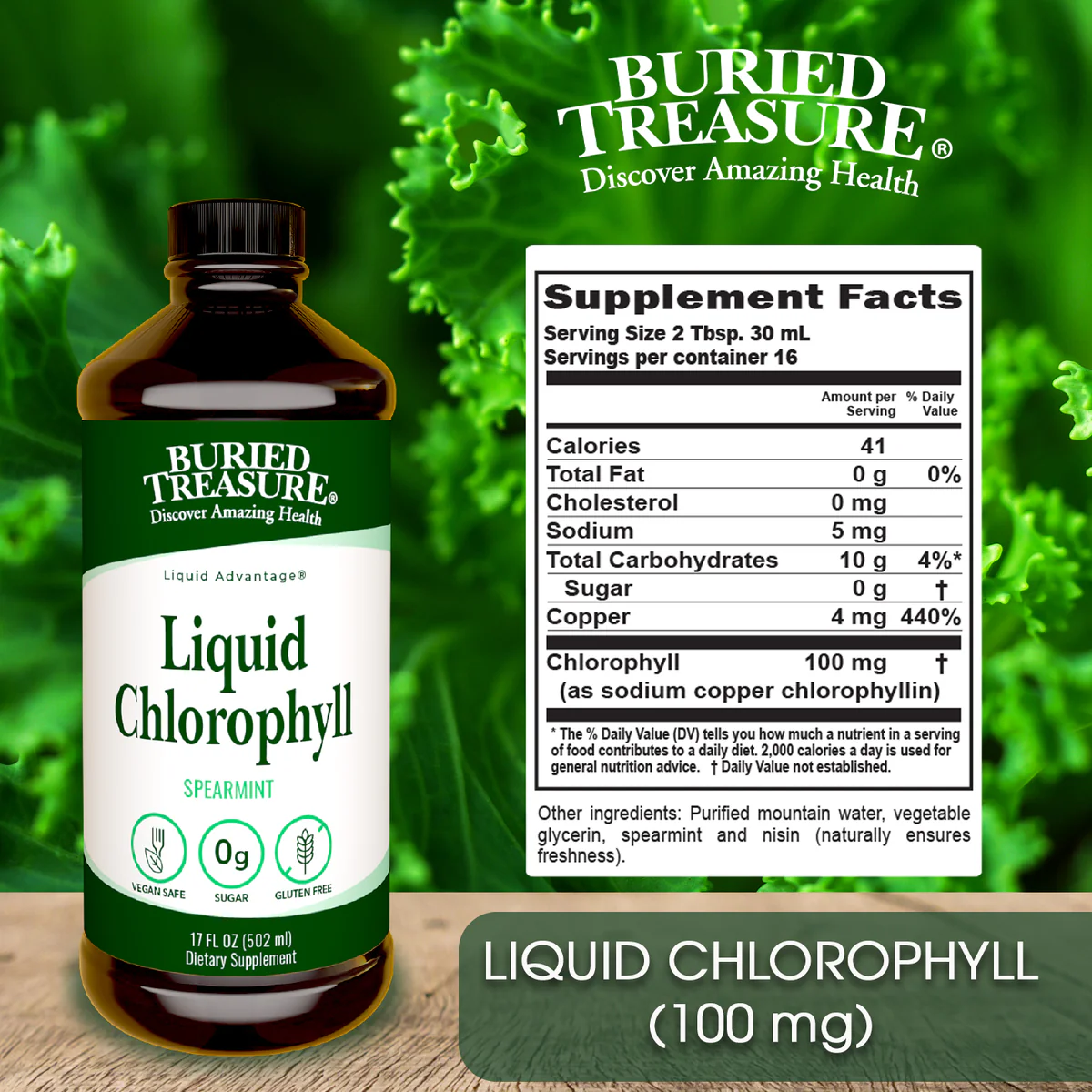 Buried Treasure Liquid Chlorophyll – 100 mg Chlorophyll per Serving, 16.23oz - Image 2