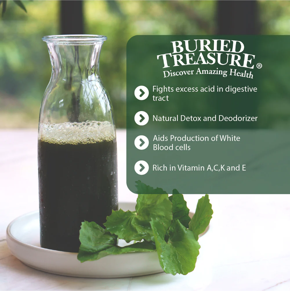Buried Treasure Liquid Chlorophyll – 100 mg Chlorophyll per Serving, 16.23oz - Image 5